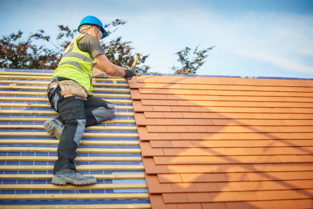 Best Wood Shake Roofing  in Visalia, CA
